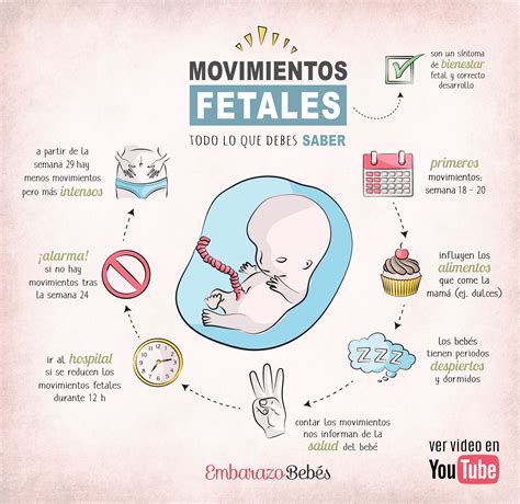 MOVIMIENTOS DEL BEBÉ EN EL VIENTRE Embarazo divertido Consejos para