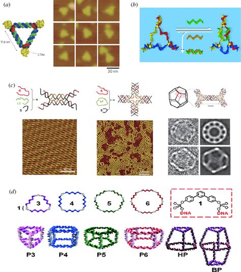 Hybrid Nanostructures Employing Dna And Rna Molecules A Triangular