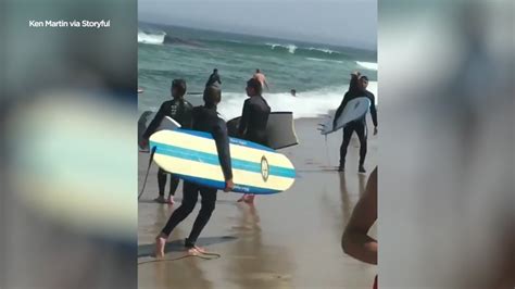 Swimmers Flee Water As Shark Attacks Seal At Nauset Beach On Cape Cod