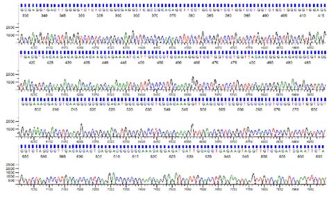 Maglisto™ 5m Plasmid Extraction Kit