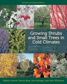 24 Shrubs - Jung Seeds and Plants catalog ideas | shrubs, plants, plant catalogs