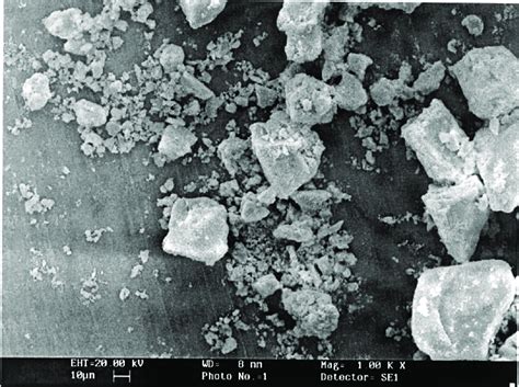 Micrografia Obtida Em Microscópio Eletrônico De Varredura Da Solução