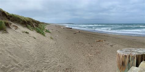 Bodega Dunes Beach And Campground In Sonoma Coast State Park