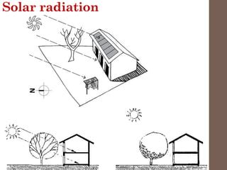 Climate and architecture | PPT