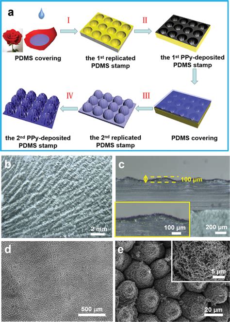 Multiscale Hierarchical Structures Of The Nd Ppydeposited Pdms Stamps