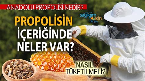 Propolisin Sa L M Za Faydalar Nelerdir Youtube