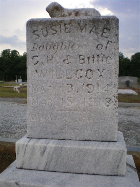 Susie Mae Willcox Grave Vanishing Georgia Photographs By Brian Brown