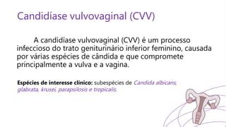 Candidiase Tratamento Candidiase Vulvovaginal PPT