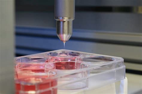 Exploring possibilities for bringing Plasma Medicine to patients — PlasmaMED lab: Plasmas for ...