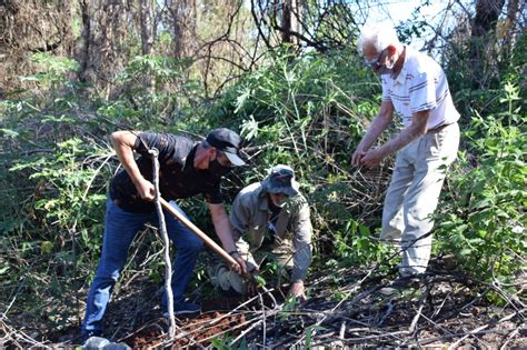 Comenzó la etapa de restauración del bosque nativo afectado por los