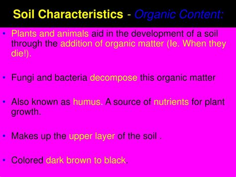 Ppt Soils Powerpoint Presentation Free Download Id3128581