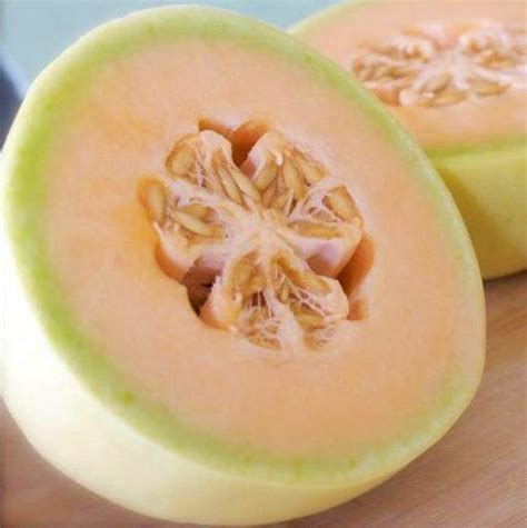 Cantaloupe - Honeydew Orange Flesh - St. Clare Heirloom Seeds