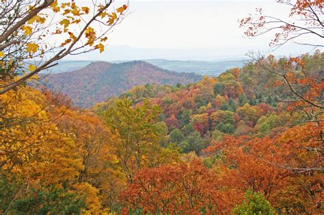 Fall Foliage in Virginia - Virginia Department of Forestry : Virginia ...