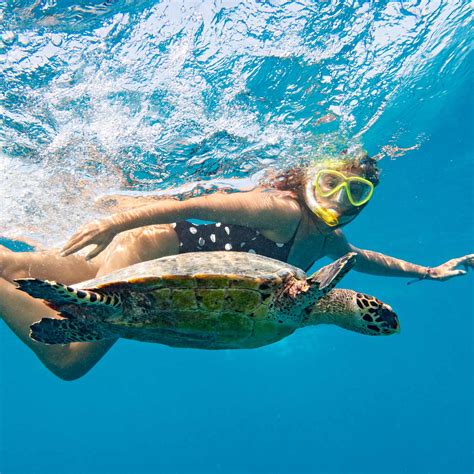 Discovering The Underwater Paradise Snorkeling In Curacao Breeze