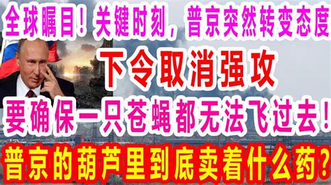 全球瞩目、关键时刻、普京突然转变态度、下令取消强攻、要确保一只苍蝇都无法飞过去、普京的葫芦里到底卖着什么药、 Youtube