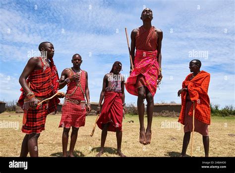 Young Maasai Men Performing A Traditional Jumping Dance Masai Mara