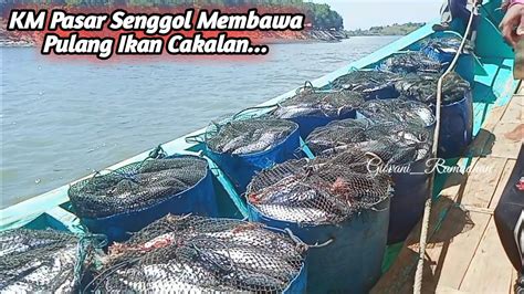 Km Pasar Senggol Membawa Pulang Ikan Cakalan Januari Youtube