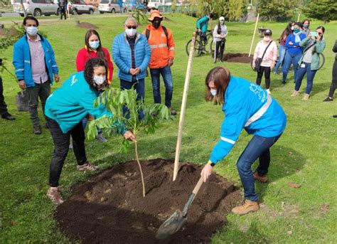 Bogotá Reverdece Con 47000 Nuevos árboles