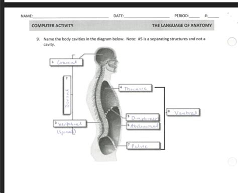 Anatomy Chapter 1 Language Of Anatomy Flashcards Quizlet