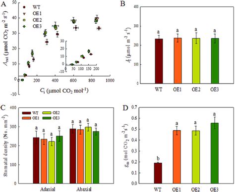 Net Rate Of CO 2 Assimilation Response Curves And Parameters Rice