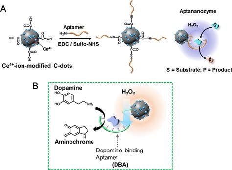 A Synthesis Of The Dba Functionalized Ce Ion Modified C Dots