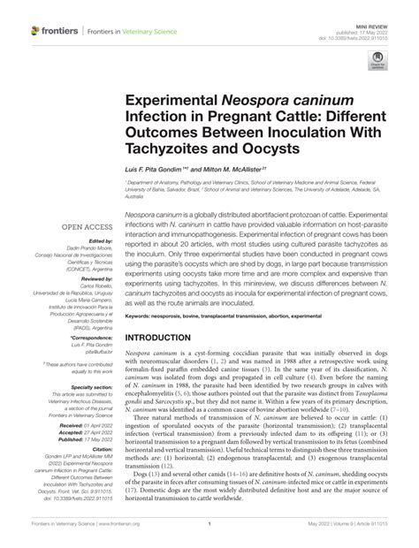 Pdf Experimental Neospora Caninum Infection In Pregnant Cattle