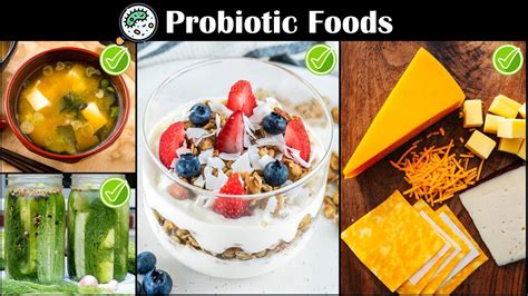 Foods Rich In Probiotics Best Probiotic Foods On The Planet Youtube