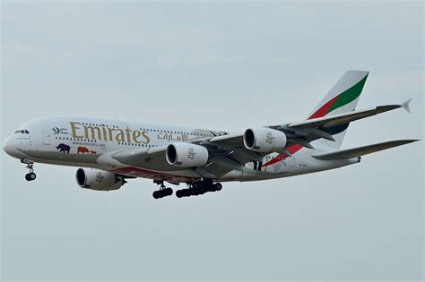 A6 EER Emirates Airbus A380 800 United For Wildlife Flickr