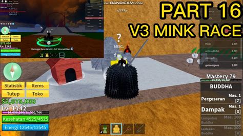 Up Race Menjadi V3 Race Mink Rabbit Roblox Blox Fruit 16 Youtube