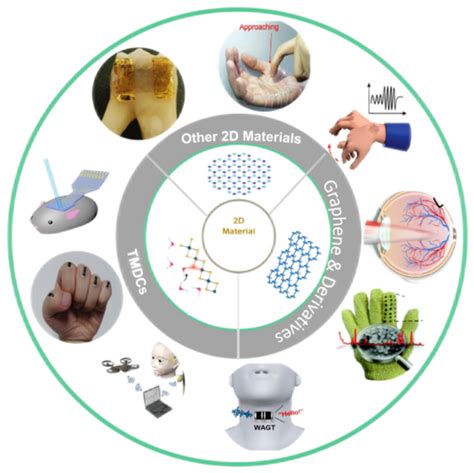 Biosensors Free Full Text D Materials Based Wearable Biosensor Systems