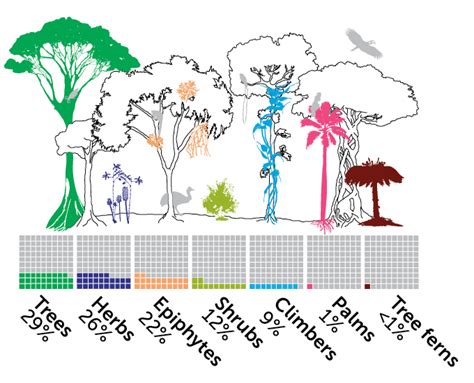 New Guinea Has More Known Plant Species Than Any Island In The World