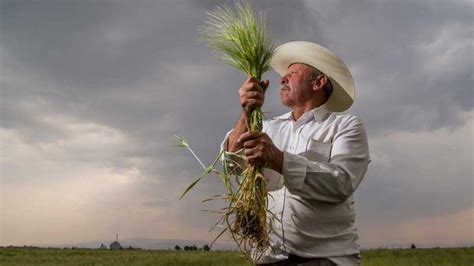 Balanza comercial agroalimentaria con superávit de cinco mil 141 mdd de