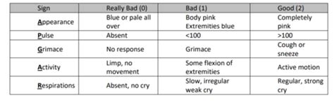 CSE Neonatal Pediatric Flashcards Quizlet