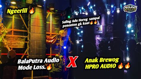 Balaputra Audio Mode Loss H Pro Audio Anak Brewog Juga Tancap Gass