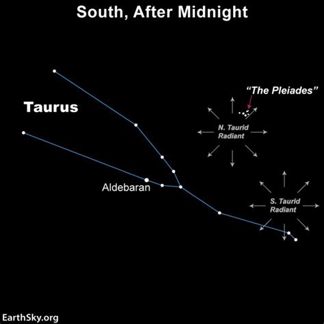 Pleiades Meteor Shower 2024 - Kaye Savina