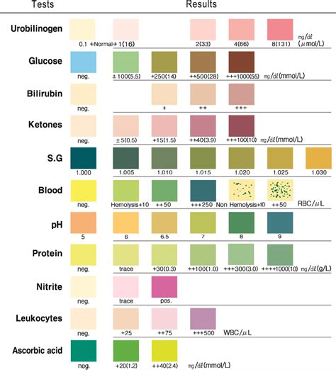 How To Interpret A Urine Dipstick Result How To Interpret A Urine