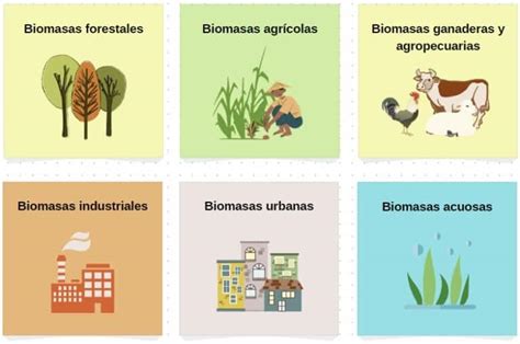 Energía biomasa Qué es cómo se obtiene y ventajas OVACEN