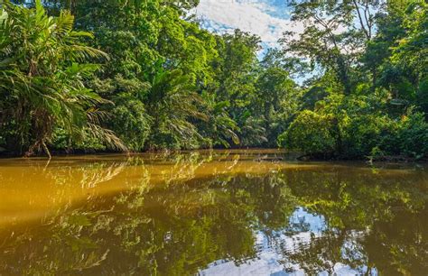 Circuito Paisajes Tropicales Y Manuel Antonio Premium VIP Desde 2 041