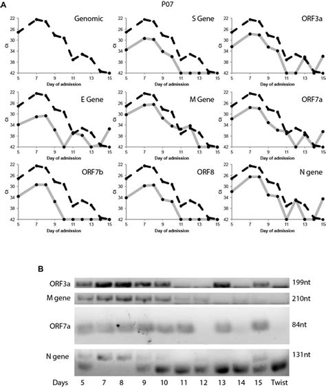 Frontiers Sub Genomic Analysis Of Sars Cov Using Short Read