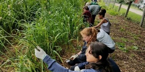 Cornell Cooperative Extension Learning By Doing The 4 H Way