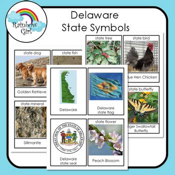 Delaware State Symbols by Rainbow Girl | TPT