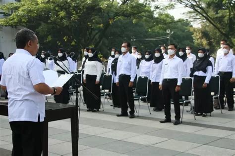 Gaji Tenaga Honorer Tahun Telah Resmi Disahkan Oleh Sri Mulyani