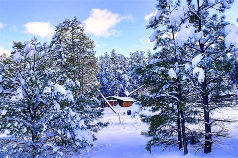 Snow in Flagstaff, AZ Photograph by Bill Mollet - Fine Art America