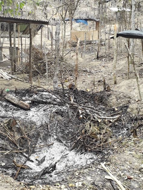 Quatro pessoas são presas por crime ambiental na zona norte SSP