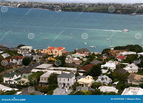 Mount Victoria,New Zealand stock image. Image of grass - 49399385