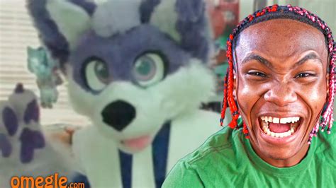 Packgod Vs Omegle Furry Reaction Youtube