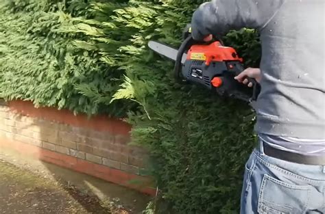 Can You Use A Pole Saw To Trim Hedges Polesawguide