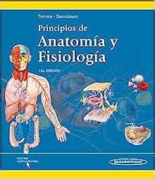 Principios De Anatomia Y Fisiologia Principles Of Anatomy And