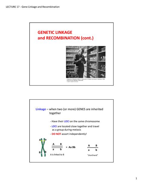 Lecture Genetic Linkage And Recombination Genetic Linkage And