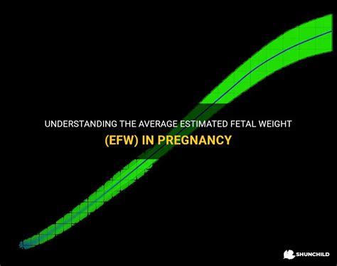 Understanding The Average Estimated Fetal Weight Efw In Pregnancy